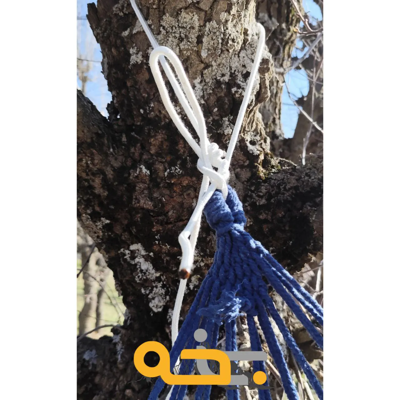 ننو درختی و تخت آویز 2 نفره